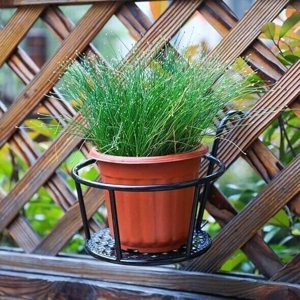 💥This Week's Special Price $29.99🔥 Hanging flower stand