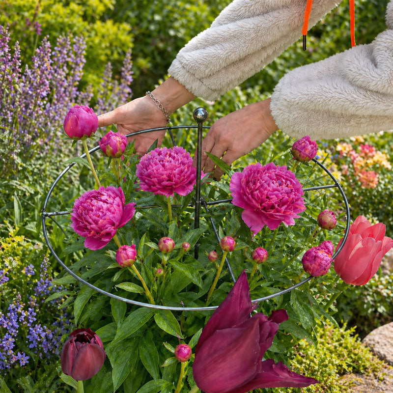📢📢Summer Special: Plant Stands 49% Off🌷