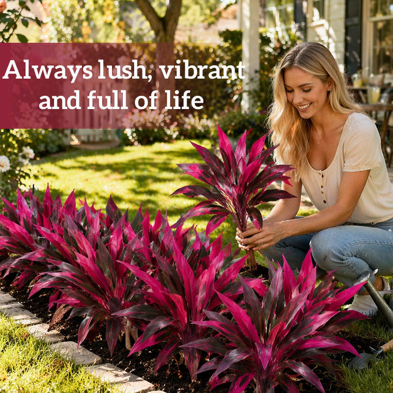 🏡🌿Artificial Red Cordyline Ti Plant – No-Fuss Year-Round Vibrant Foliage!