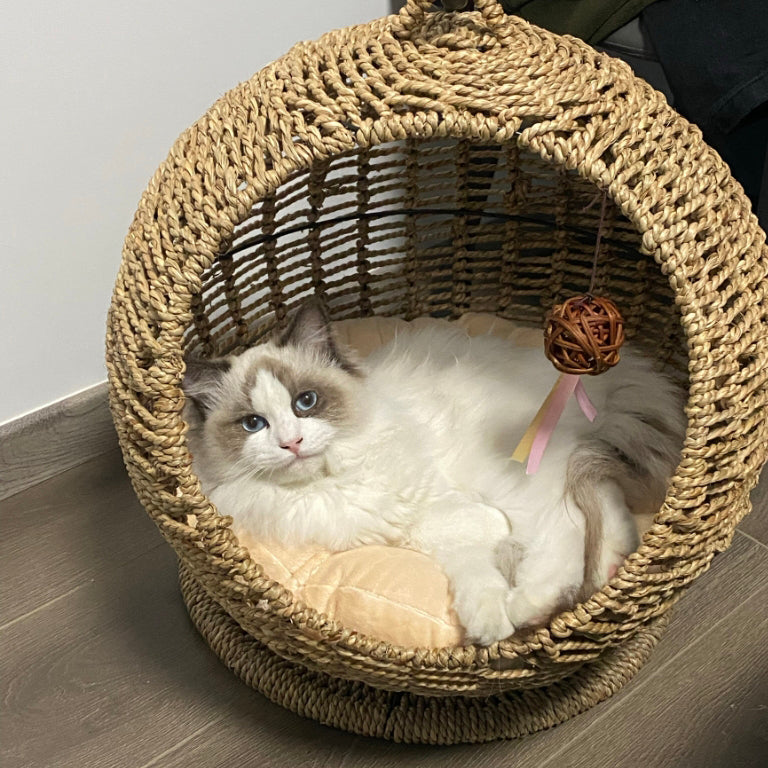 Hamac tissé pour chat – Panier suspendu en jonc de mer pour animaux (🔥Tapis gratuit)