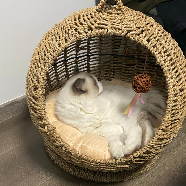 Hamac tissé pour chat – Panier suspendu en jonc de mer pour animaux (🔥Tapis gratuit)