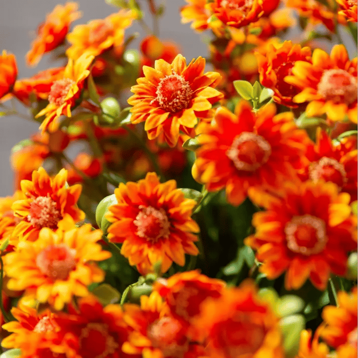 💥 Artificial Outdoor Sunset Mums Flowers - UV resistant, Waterproof, Windproof